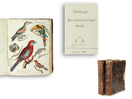 Zwei Originalbände Abbildungen Naturhistorischer Gegenstände