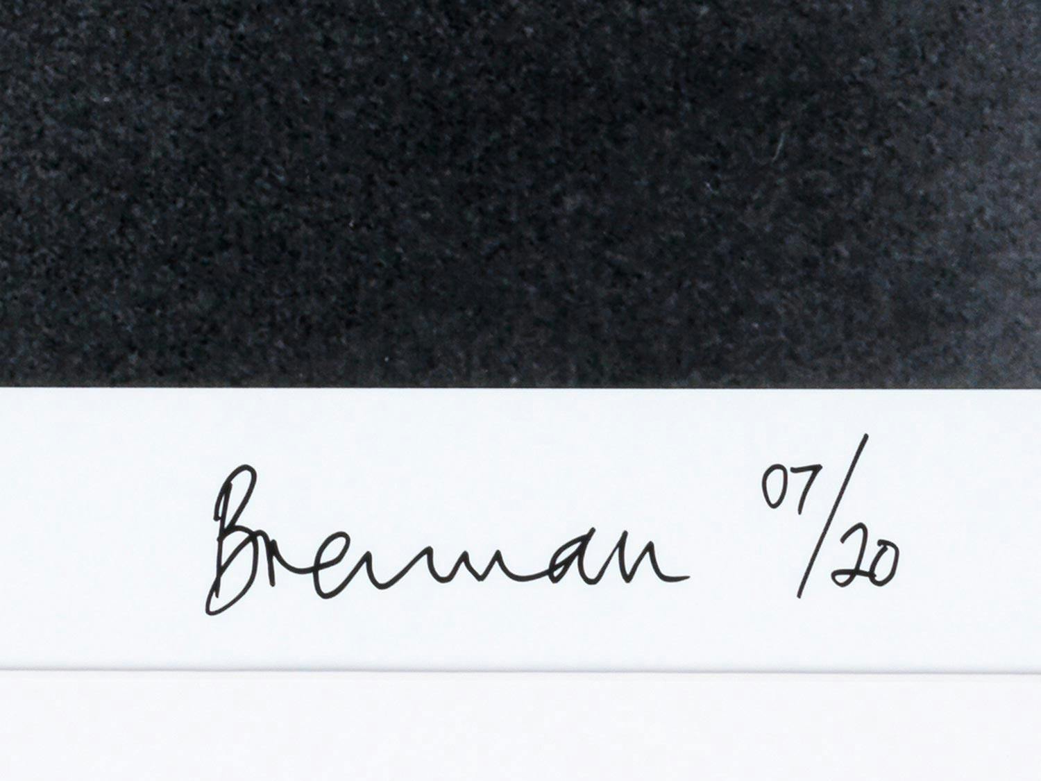 Detailabbildung: Michael Brennan, geb. 1943 Sheffield