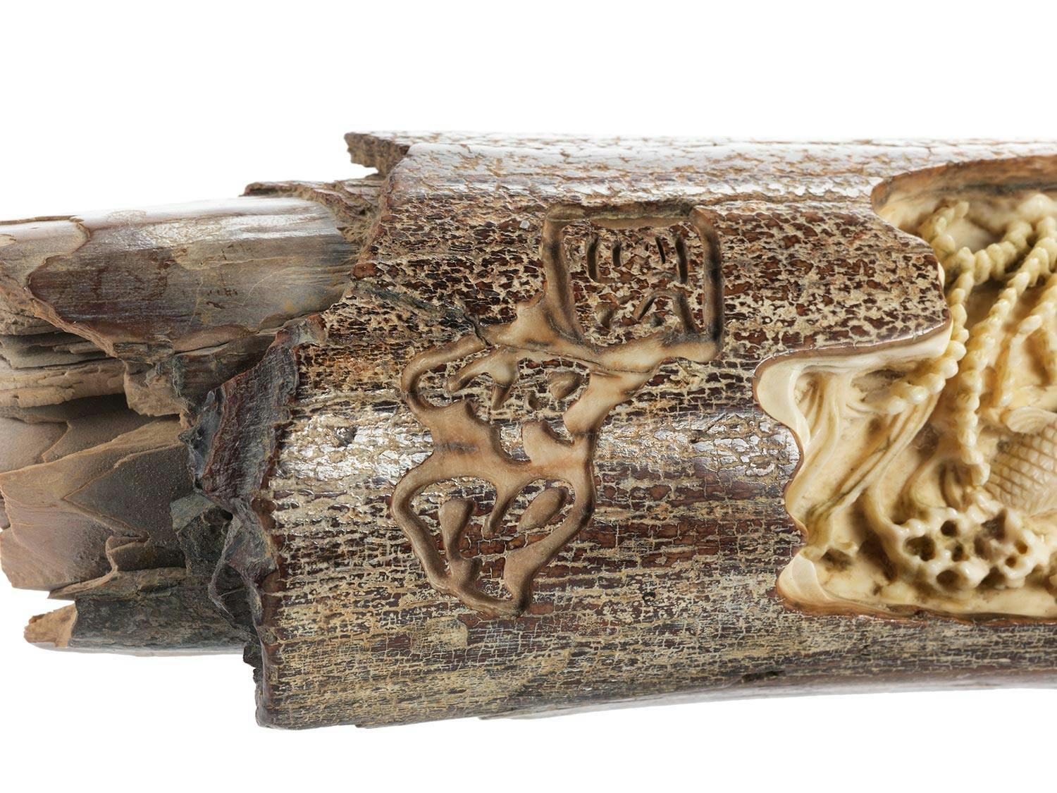 Detailabbildung: Fossiler Mammutzahn