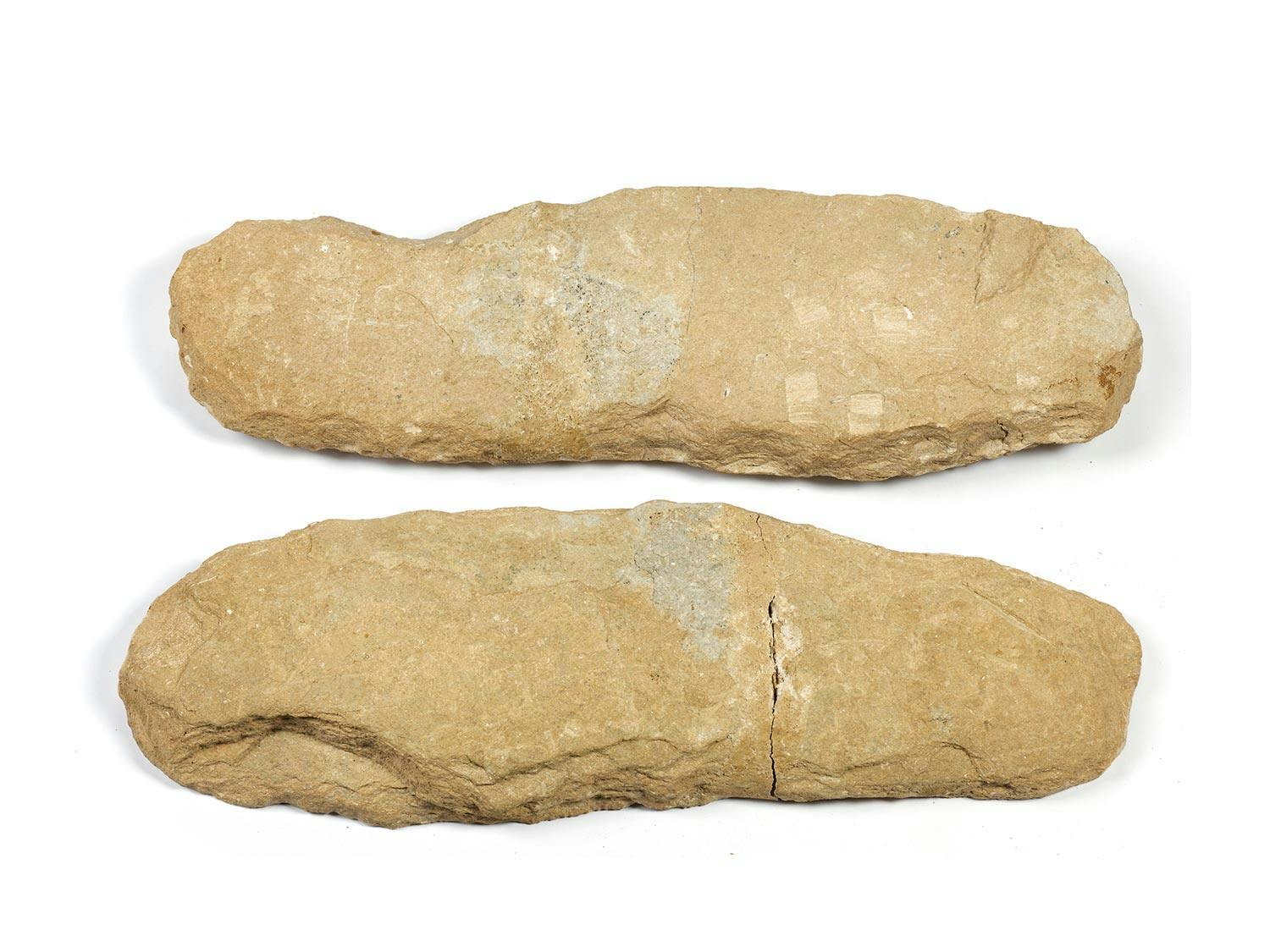 Detailabbildung: Paar fossile Fische