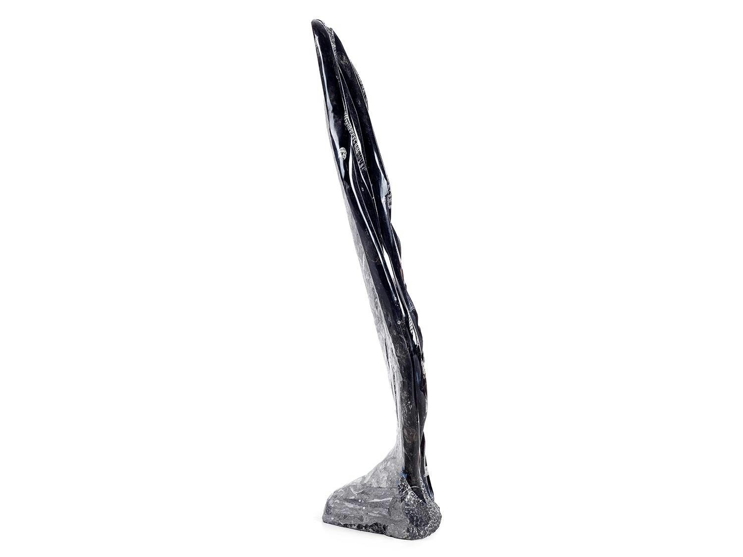 Detailabbildung: Orthoceras